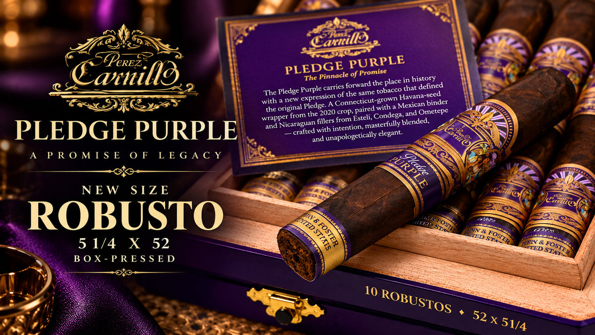 Casa Carrillo Pledge Purple Robusto, a 5 1/4 x 52 box-pressed cigar with Connecticut Havana-seed wrapper