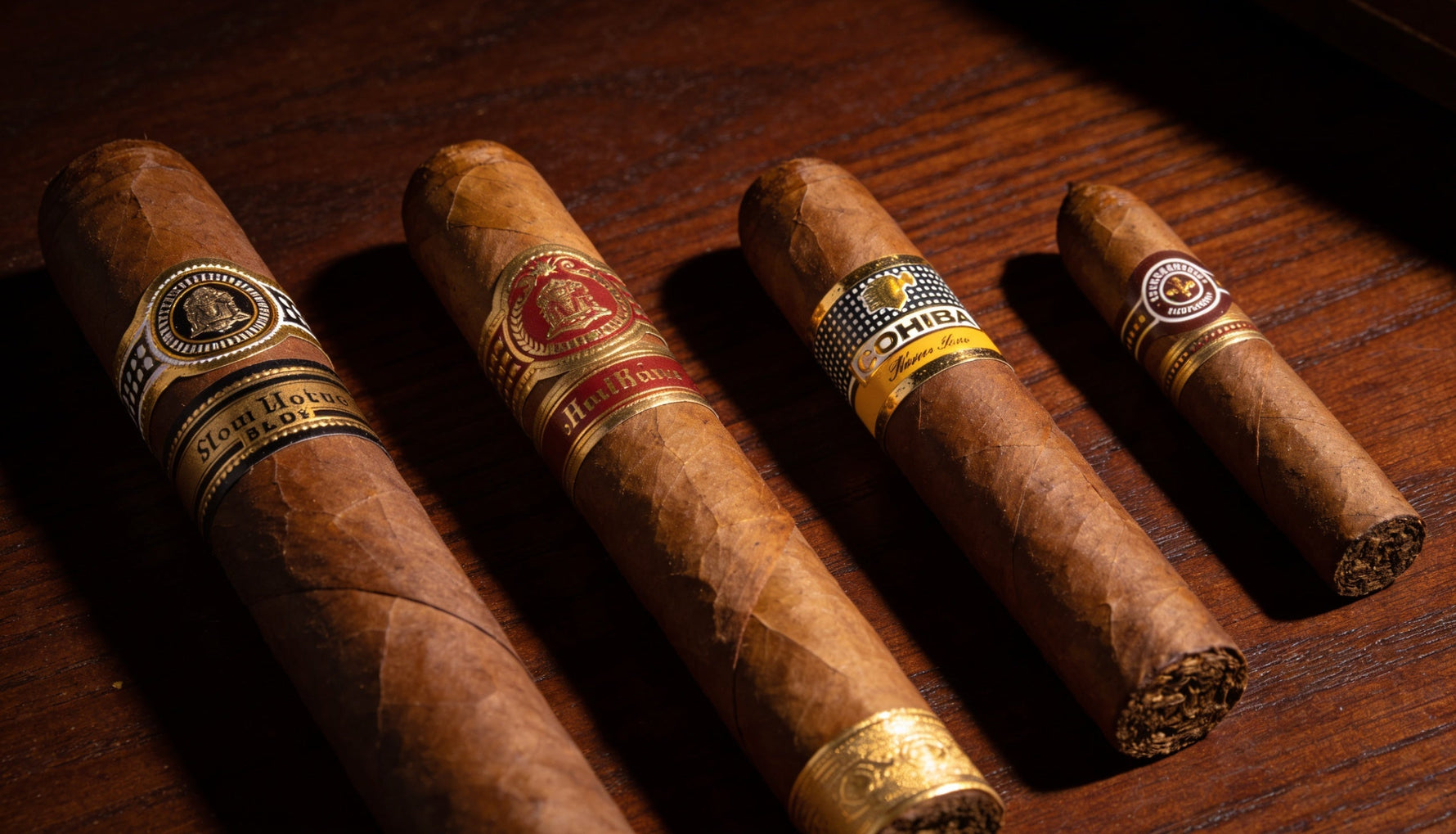 Five premium cigars lined up from thick to thin, showing how cigar ring gauge changes the smoke and flavor