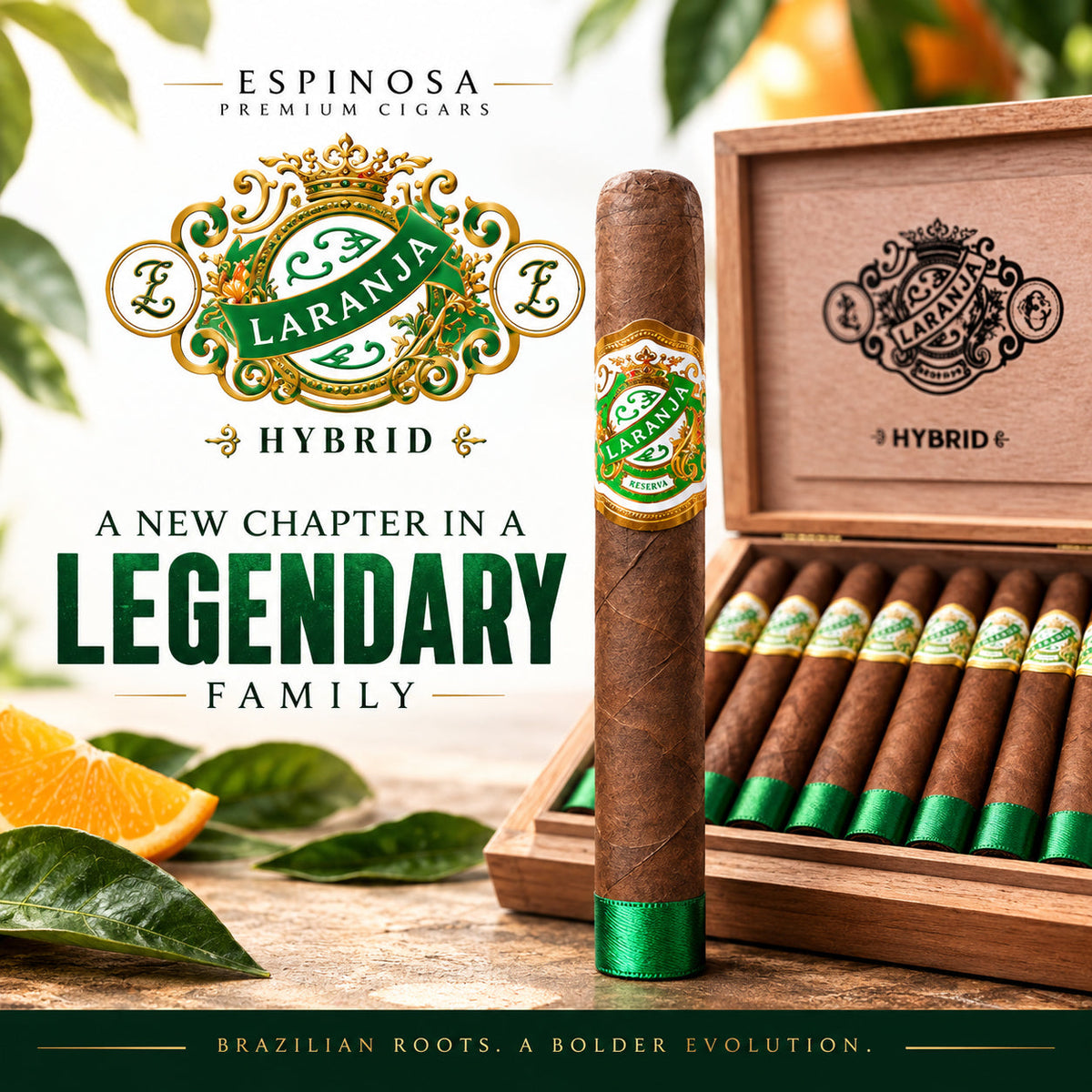 Espinosa Laranja Hybrid with Ecuadorian Habano Oscuro wrapper and Brazilian tobacco in the filler