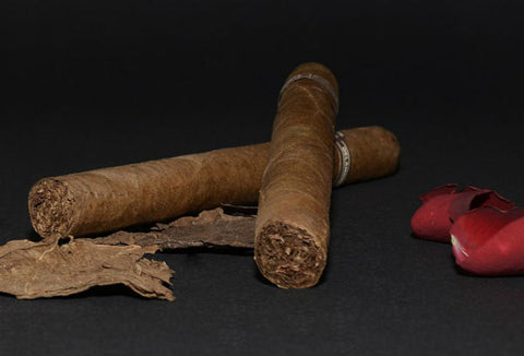 ​How To Cut a Cigar- Straight Cut, Punch, or V-Cut