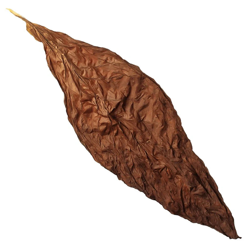dark fire cured tobacco leaf Farmer Newsletter: TOBACCO HARVEST NEARING END WITH FEW BUMPER CROPS IN SIGHT Wildfire Cigar Co. Artaois Toro