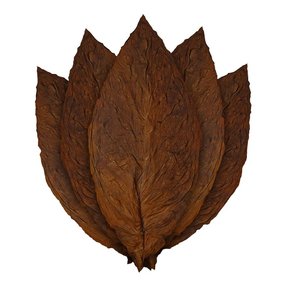 Connecticut Broadleaf