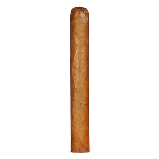 Corona Gorda