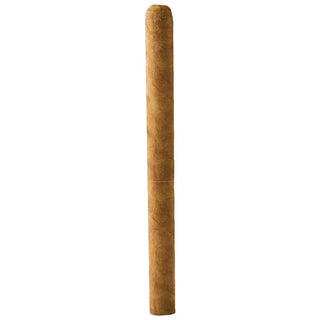 Lancero