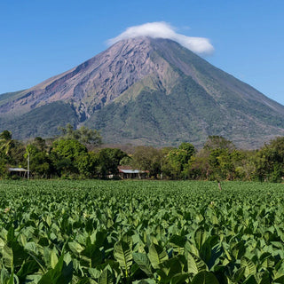 Nicaragua