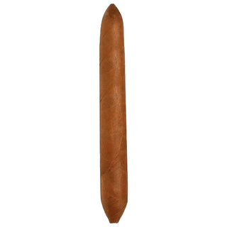 Salomon