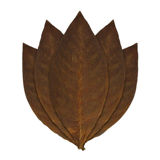 San Andres Maduro