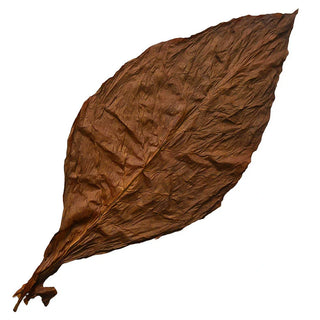 Cameroon