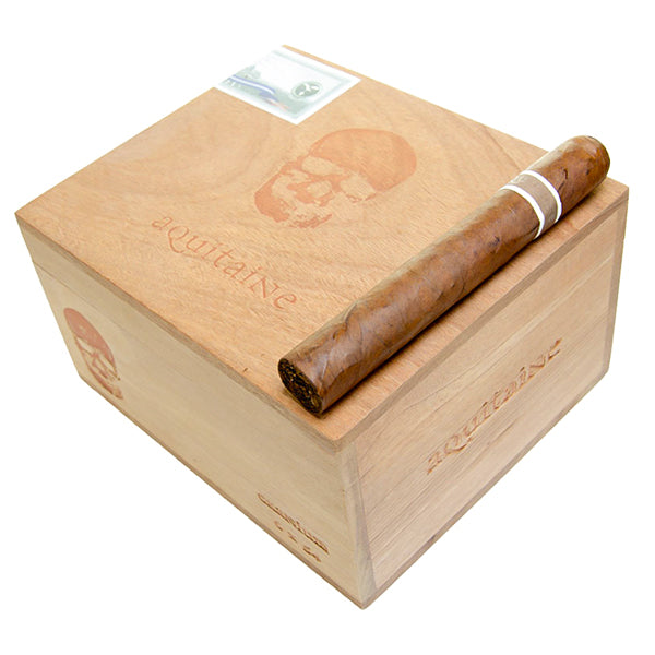 RoMa Craft Cromagnon Aquitaine Cranium - Aged 2 1/2 Years