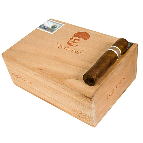 RoMa Craft Cromagnon Aquitaine Mandible - Aged 7 Months