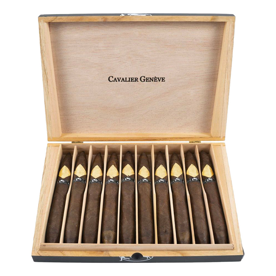 Cavalier Geneve - Black II Torpedo - Aged 1 1/2 Year