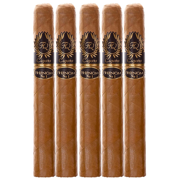 FQ Phenom No1 Churchill - Aged 4 Years