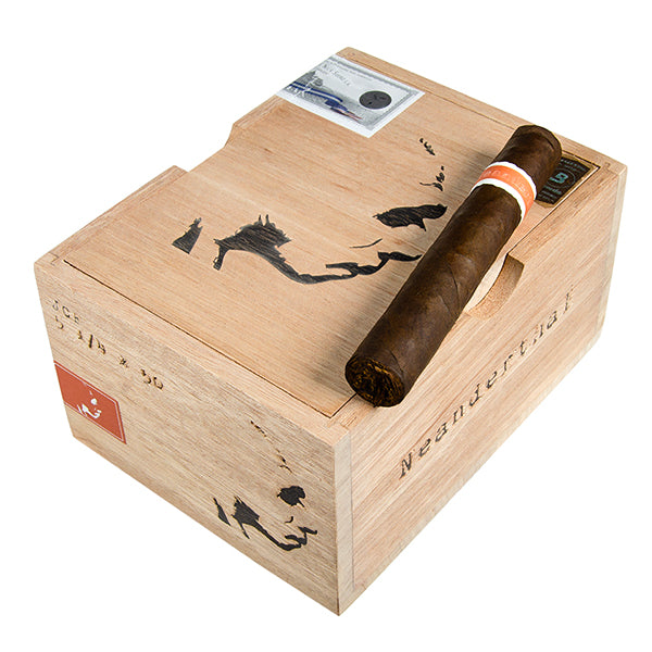 RoMa Craft Neanderthal JCF