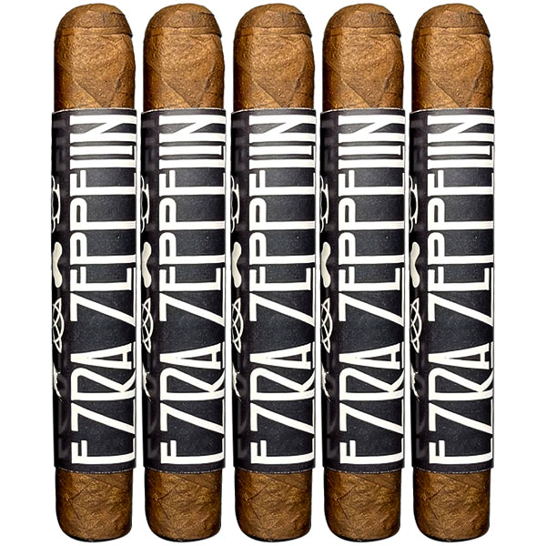 Ezra Zion - Zeppelin L.E Aged 3-4 Years