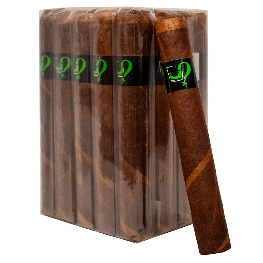 Fable Two Things Toro
