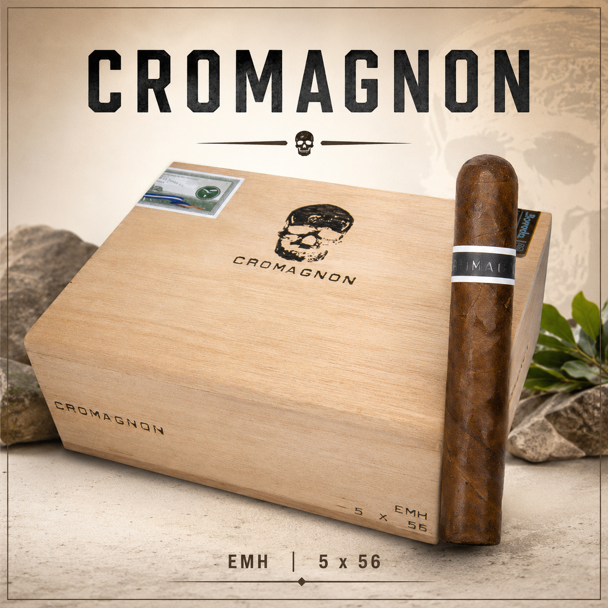 Roma Craft Cromagnon POP UP