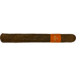 Patoro-Serie P Corona
Mardocigars.com