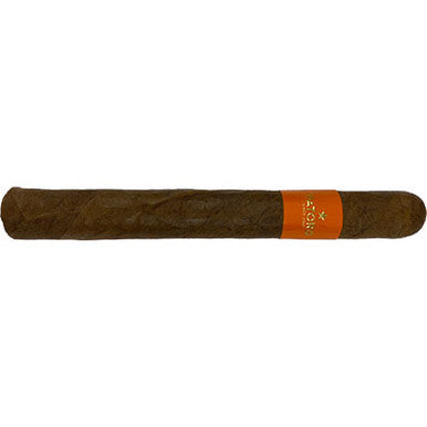 Patoro-Serie P Corona
Mardocigars.com