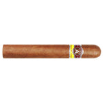 Gordo Aladino Classic Cigar Edition