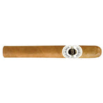 Ashton Classic Corona Single