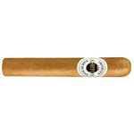 Ashton Classic Magnum Single