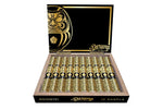 Buy Daruma Room 101 Cigars