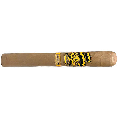 Noel Rojas Street Tacos Carnitas Toro Single