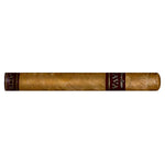 Java Latte Corona - Aged 2 Years