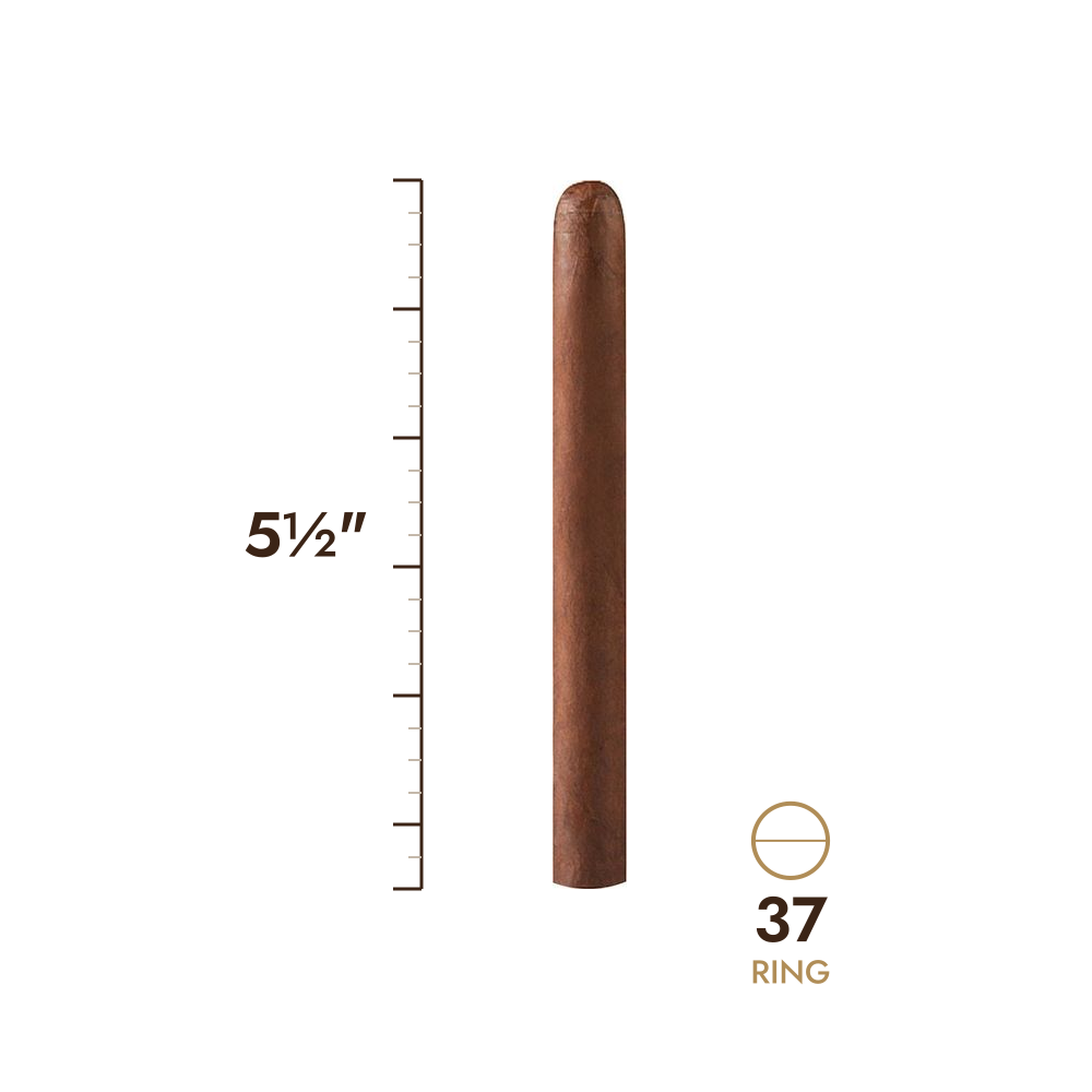 Cigar size: 5½" long, 37 ring gauge, to scale