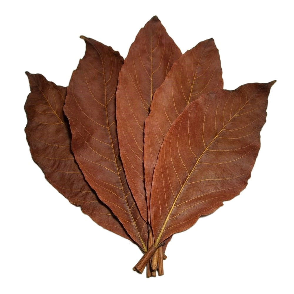 Habano wrapper tobacco leaves