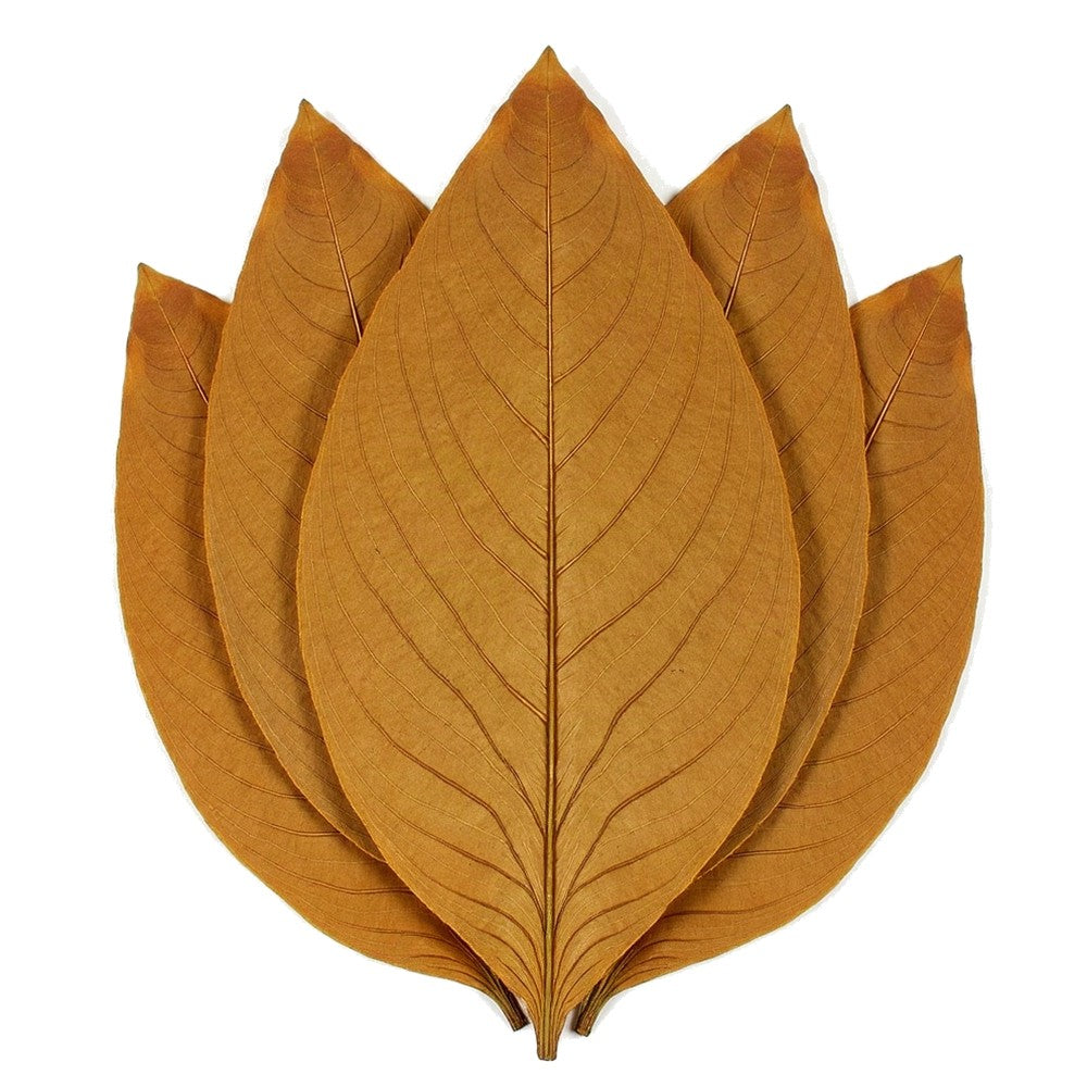 Natural wrapper tobacco leaves
