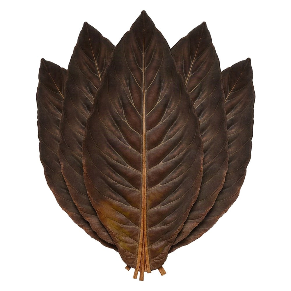 Oscuro wrapper tobacco leaves