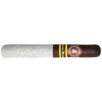 Taste Aladino Corojo Reserva Cigar