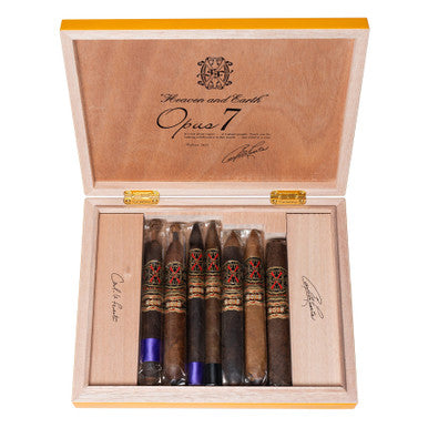 Opus 7 Yellow Fall Collection 2023