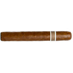 Unique RoMa Craft Cranium Cromagnon Aquitaine Cranium