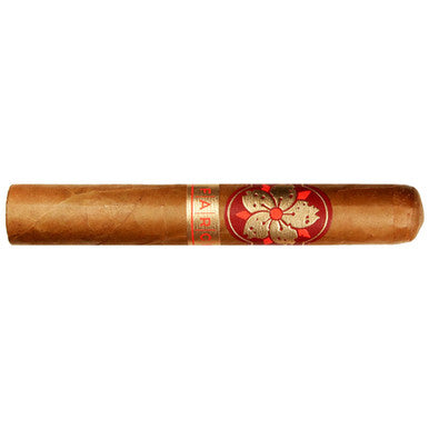 Room 101 - Farce Connecticut Robusto