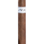 Viaje - New Beginnings